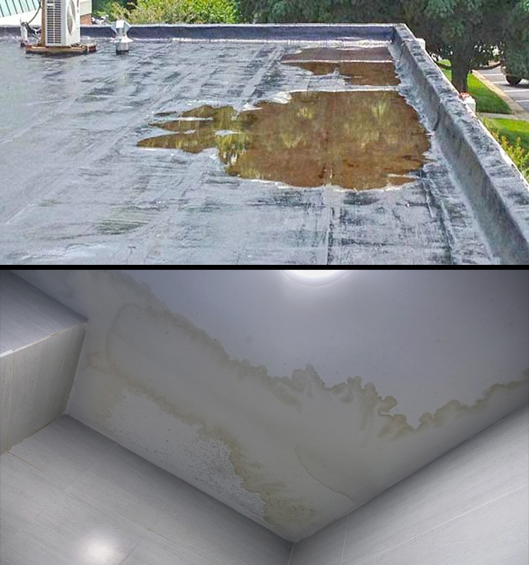 Filtraciones en cubierta de edificio